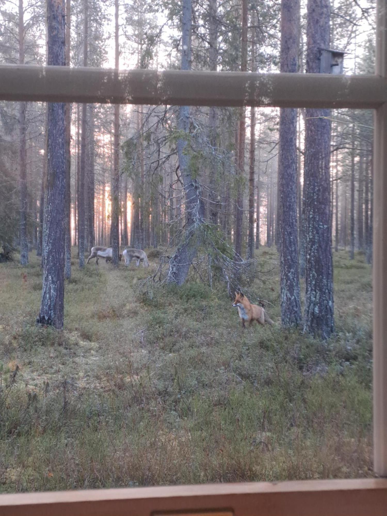 Appartement Yllaes Nilimaja à Ylläsjärvi Extérieur photo